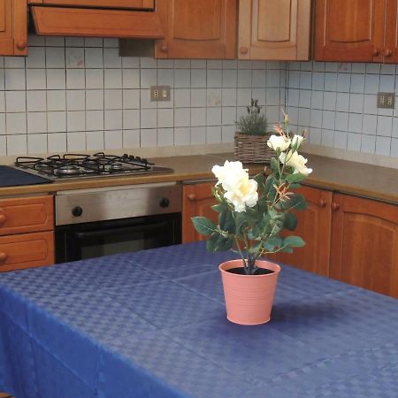 A Casa Di Lucia Bed & Breakfast Пиза Екстериор снимка